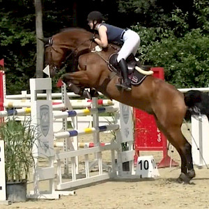 Springreiterinnen erfolgreich im Sattel unterwegs