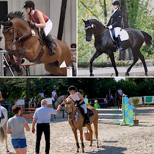 Sonnige Turnierkulisse bei den Dressur- und Springreitern