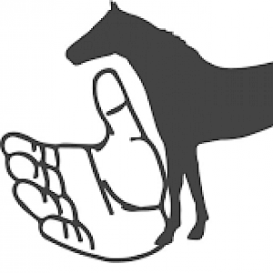 Spendenaufruf für die Ukraine