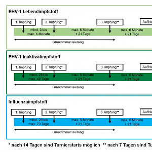 FN informiert: Turnierpferde jetzt impfen!