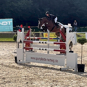 Top Bedingungen auf dem Turnier in Madenreute