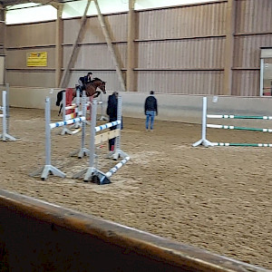 Jump-Jump-Jump - erfolgreicher PSKO-Lehrgang mit Marc Bauhofer und der Reitschule Brugger
