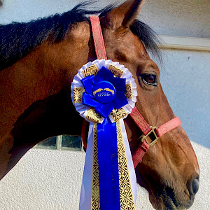 It's "W" time - Weingarten & Winterlingen und ab geht die Matz!