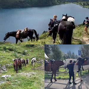 The News: Wanderreiten Alpenüberquerung - Tag 2 mit Caro & Wolfgang