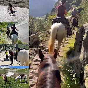 The News: Wanderreiten Alpenüberquerung - Tag 4 mit Caro & Wolfgang