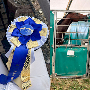 Winterlingen Winners mit Schleifenregen