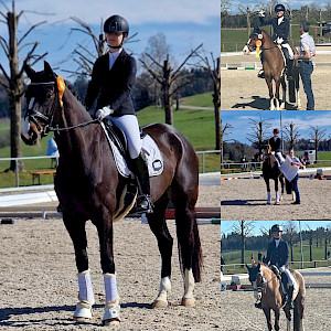 Dressur: Schleifenregen in Krumbach mit Qualifikation zum Oberschwaben Jugendcup!