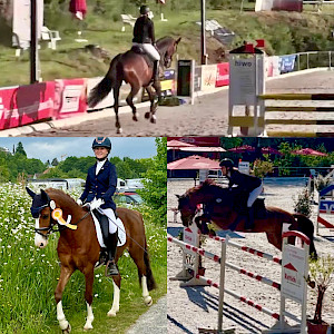 Schleifen-& Goldregen in Bad Schussenried & Wangen