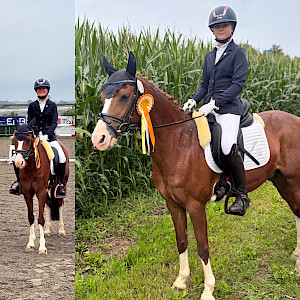 Gold für Dressuryoungster in Leutkirch-Haid