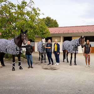 Wir sagen Dankeschön! 100 Jahre Schulpferde - Gewinn RFVA!