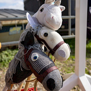 Dressur- & Springturnier des RFVA: Unsere Hobby Horsler springen durch die Decke!