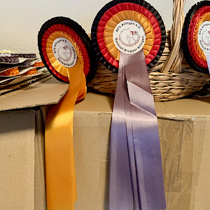 Dressur- & Springturnier des RFVA: Alle Turniererfolge vom Wochenende -11. + 12.10.2025 - wir gratulieren!