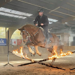 Feuer, Mut und Pferdepower – Zwei Lehrgänge, ein Coach, jede Menge Leidenschaft!